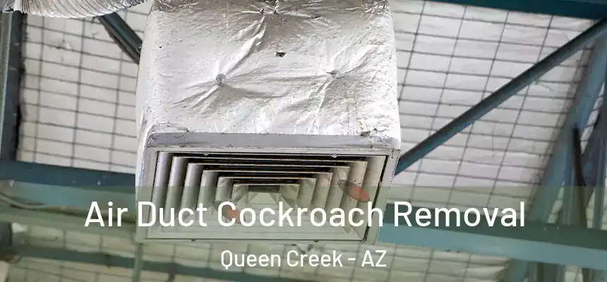  Air Duct Cockroach Removal Queen Creek - AZ