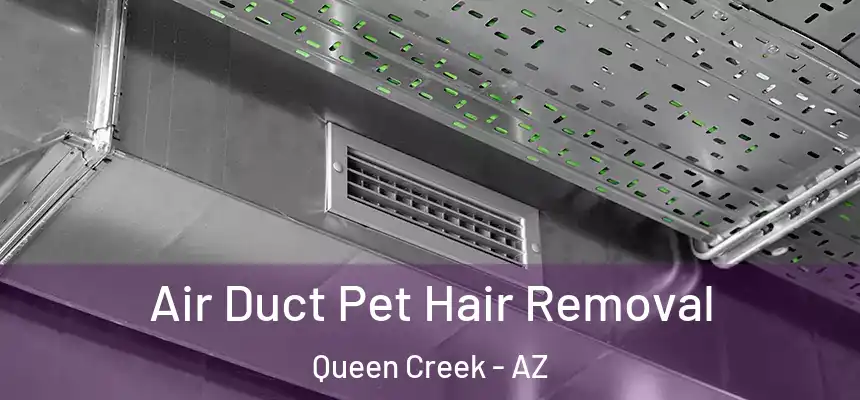 Air Duct Pet Hair Removal Queen Creek - AZ