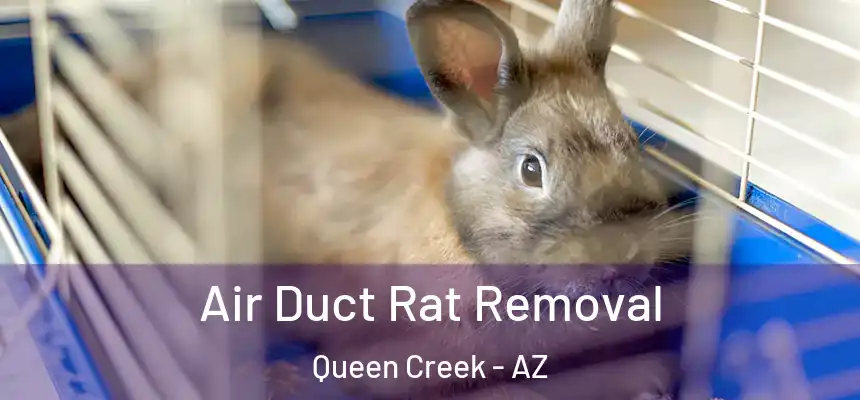 Air Duct Rat Removal Queen Creek - AZ