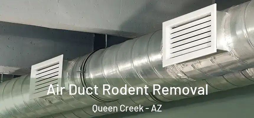 Air Duct Rodent Removal Queen Creek - AZ