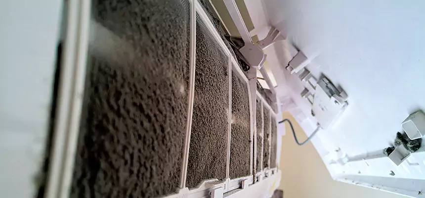 Preventive Air Duct Bacteria Removal in Queen Creek