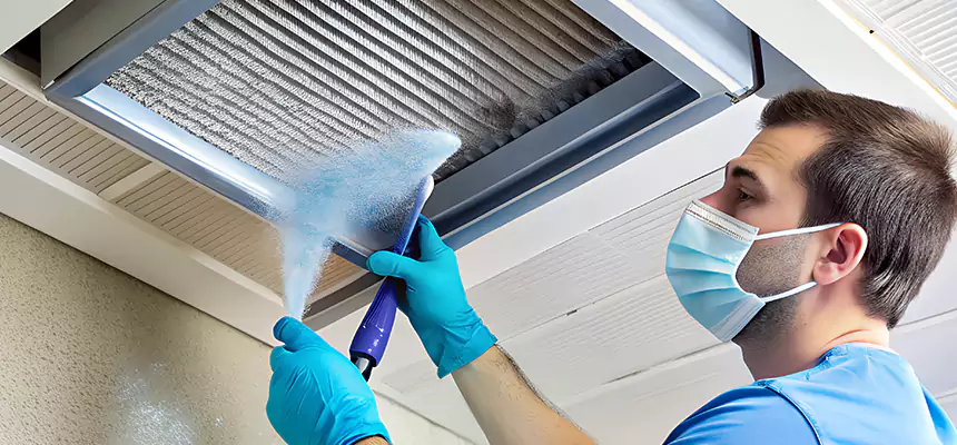 Proactive Dryer Vent & Auxiliary Duct Pollen Cleanup in Queen Creek, AZ