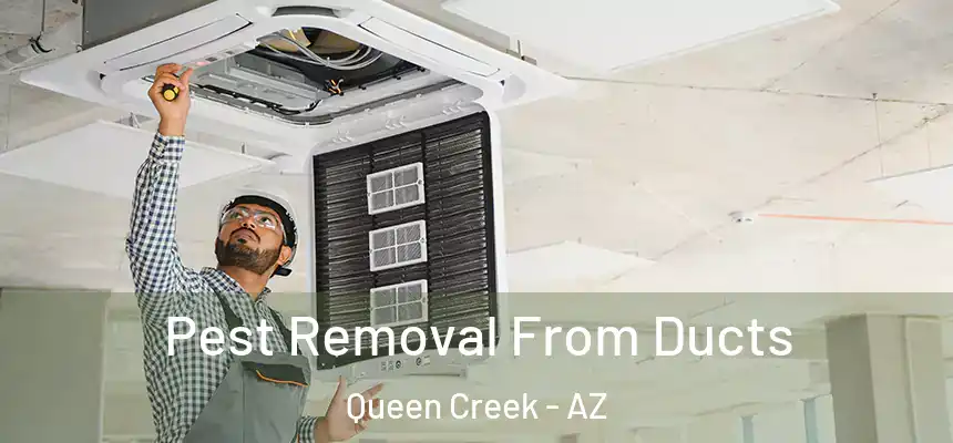  Pest Removal From Ducts Queen Creek - AZ