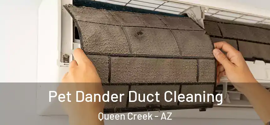 Pet Dander Duct Cleaning Queen Creek - AZ