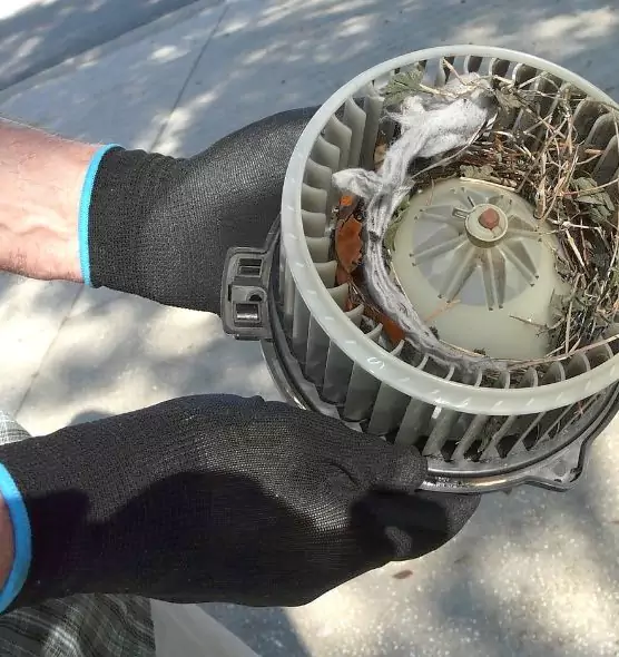 About Air Duct Rat Removal in Queen Creek, AZ