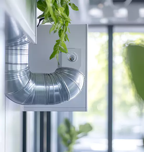 Professional Eco-Friendly Duct Cleaning Services in Queen Creek, AZ