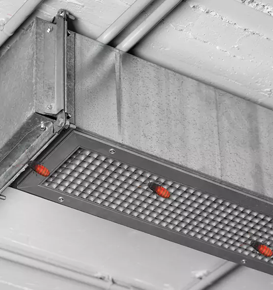 Affordable Insect Removal from Air Ducts in Queen Creek, AZ