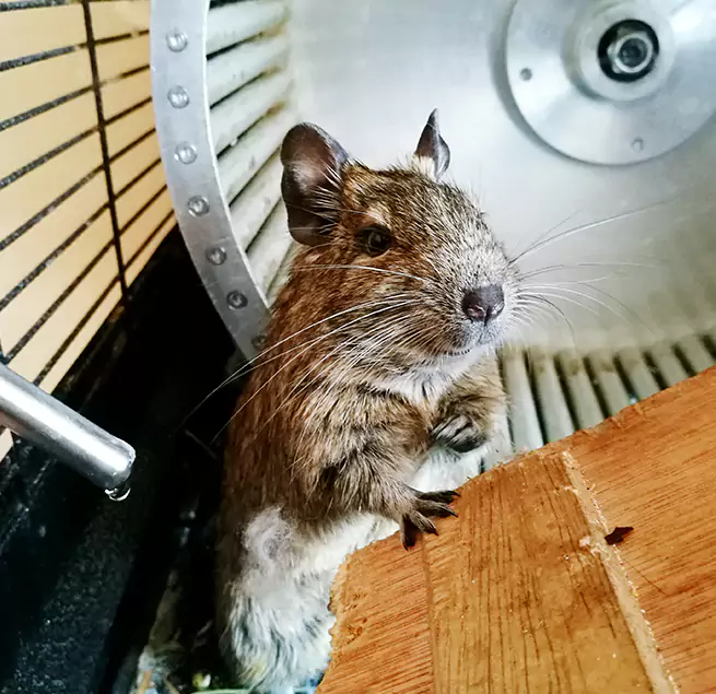 Why Homeowners & Businesses Trust Us Queen Creek, AZ