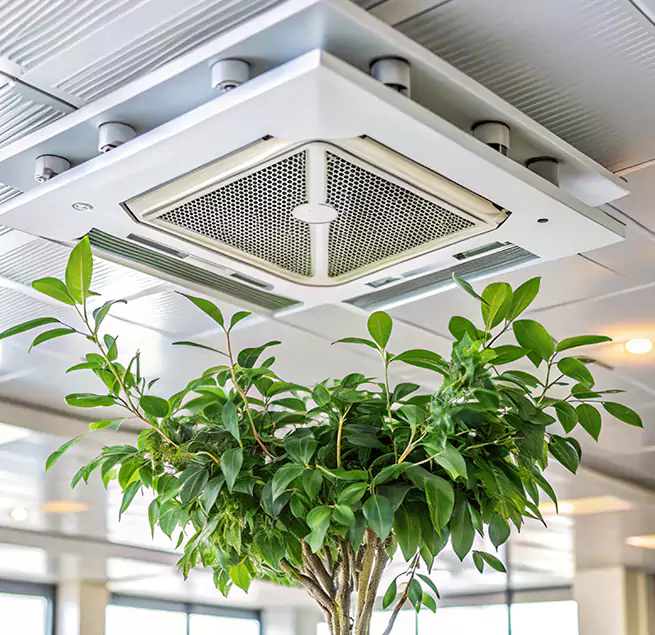 Why Homeowners & Businesses Trust Us in Queen Creek, AZ?