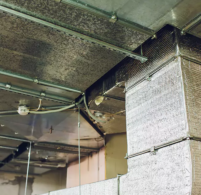 Why Homeowners & Businesses Trust Us in Queen Creek, AZ?